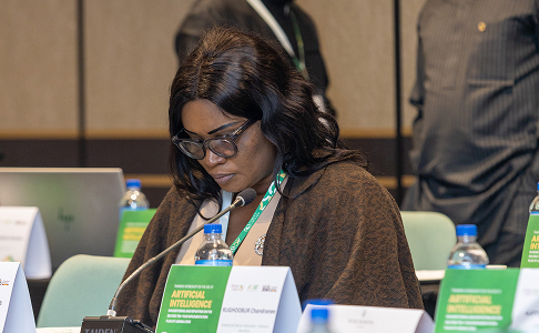 Developing institutional capacity 